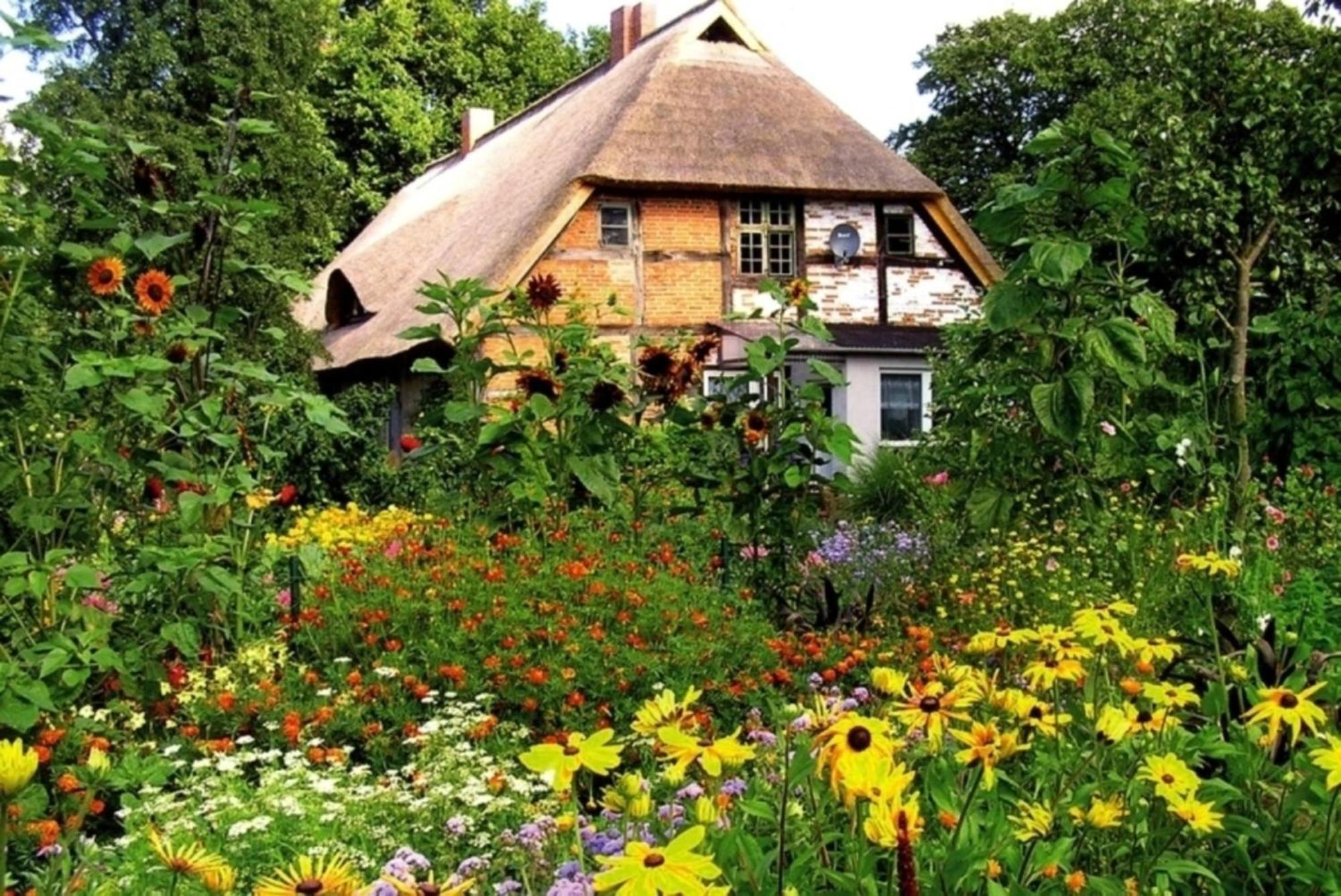Ferienwohnung Irisgarten Am Pfarrgarten Starkow Velgast Exterior foto