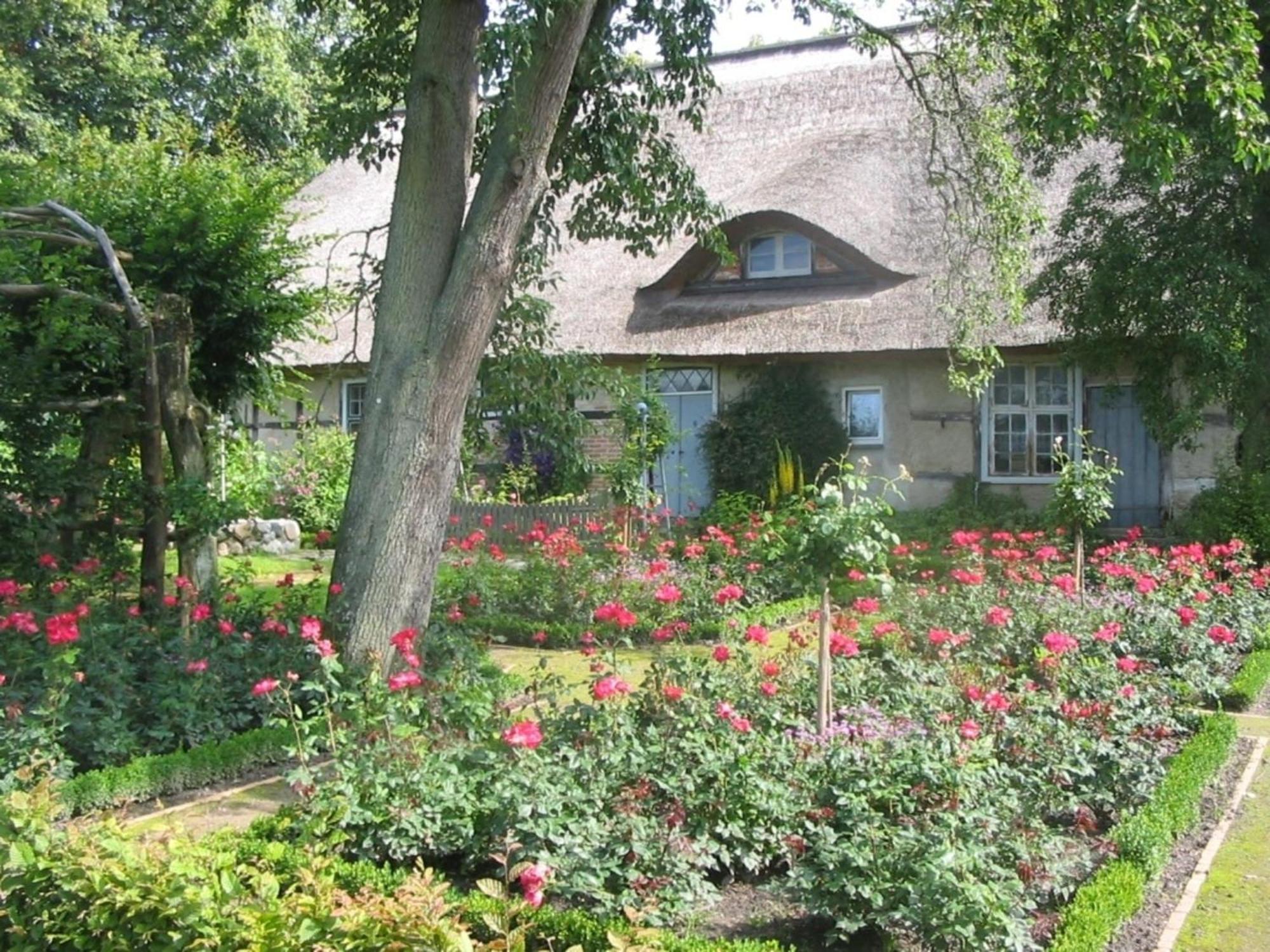 Ferienwohnung Irisgarten Am Pfarrgarten Starkow Velgast Exterior foto