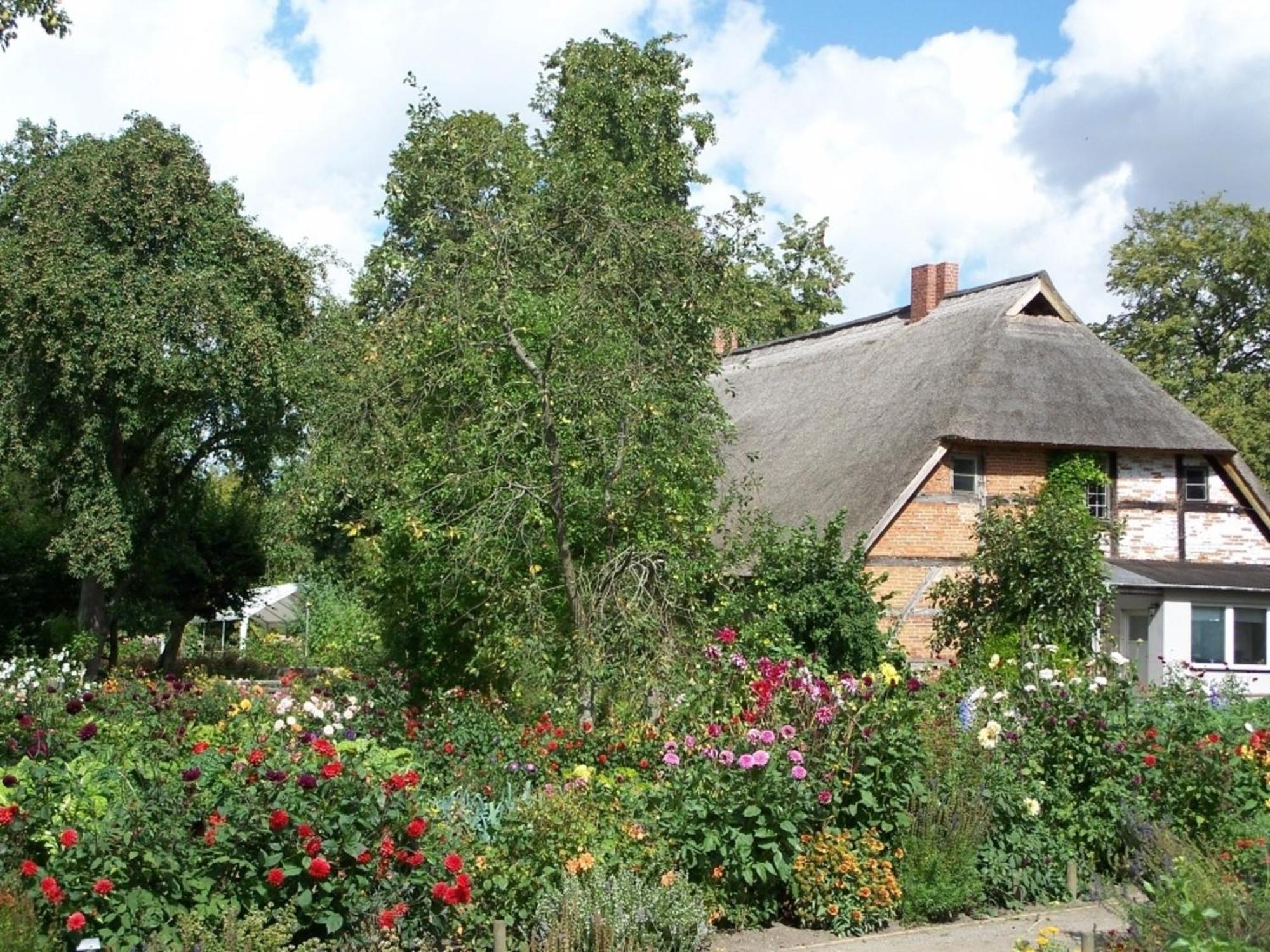 Ferienwohnung Irisgarten Am Pfarrgarten Starkow Velgast Exterior foto